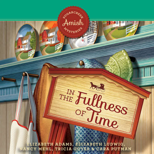 Audiobook In the Fullness of Time - Nancy Mehl - Amy Tallmadge