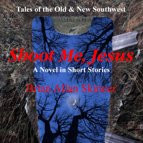 Audiobook Shoot Me, Jesus - Brian Allan Skinner - Brian Allan Skinner
