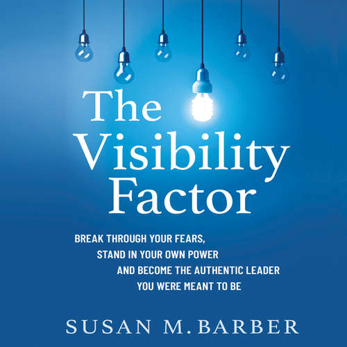 Audiobook The Visibility Factor - Susan M. Barber - Susan M. Barber