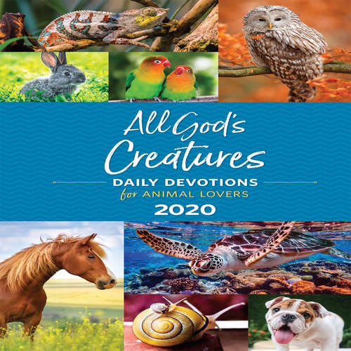 Audiobook All God's Creatures - Xochitl E. Dixon - Kevin Stillwell