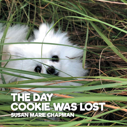 Audiobook The Day Cookie Was Lost - Susan Marie Chapman - Casey Holloway