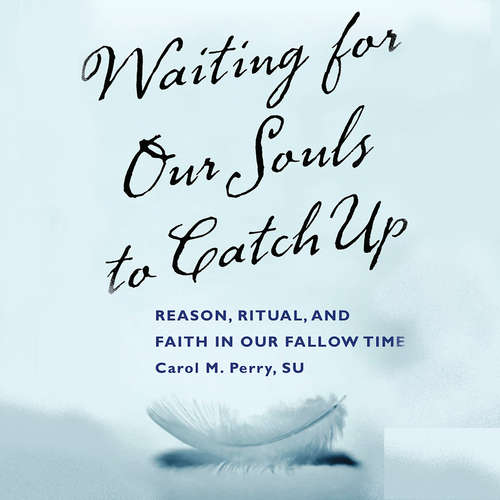 Audiobook Waiting for our Souls to Catch Up - Perry SU - Perry SU