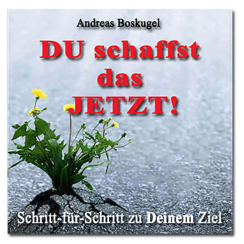 Hoerbuch DU schaffst das JETZT! - Andreas Boskugel - Alexander Devriendt