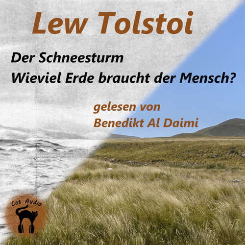 Hoerbuch Der Schneesturm & Wieviel Erde braucht der Mensch? - Lew Tolstoi - Benedikt Al Daimi