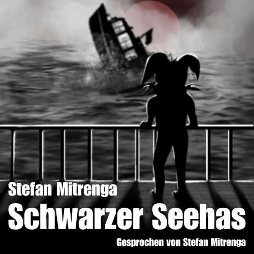 Hoerbuch Schwarzer Seehas - Stefan Mitrenga - Stefan Mitrenga