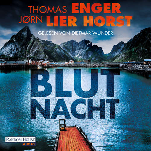 Hoerbuch Blutnacht - Thomas Enger - Dietmar Wunder
