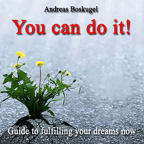 Audiobook You can do it! - Andreas Boskugel - Alexander Devriendt