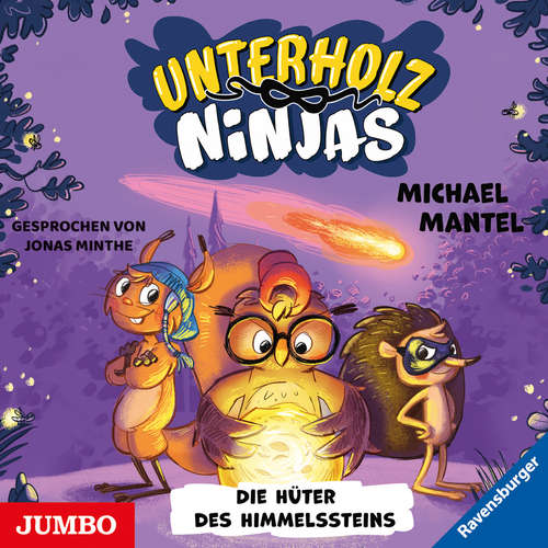 Hoerbuch Unterholz-Ninjas. Die Hüter des Himmelssteins [Band 2] - Michael Mantel - Jonas Minthe