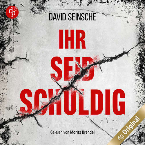 Hoerbuch Ihr seid schuldig - David Seinsche - Moritz Brendel