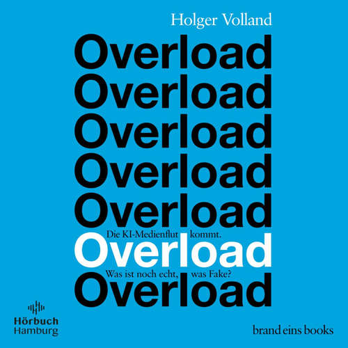Hoerbuch Overload (brand eins audio books 4) - Holger Volland - Moritz Pliquet