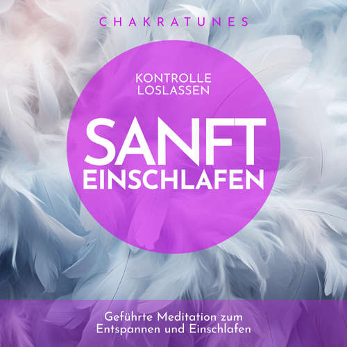 Hoerbuch Kontrolle loslassen - sanft einschlafen - Raphael Kempermann - Raphael Kempermann