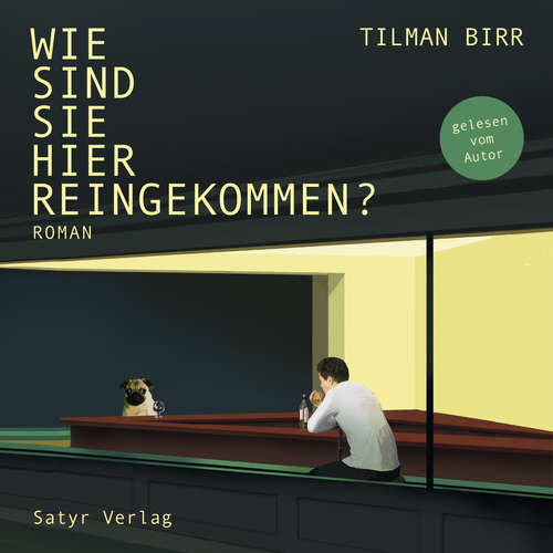 Hoerbuch Wie sind Sie hier reingekommen? - Tilman Birr - Tilman Birr