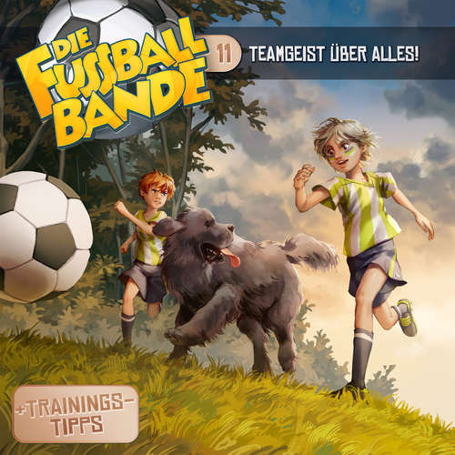 Hoerbuch Die Fussballbande, Folge 11: Teamgeist über alles! - Aikaterini Maria Schlösser - Jürgen Kluckert