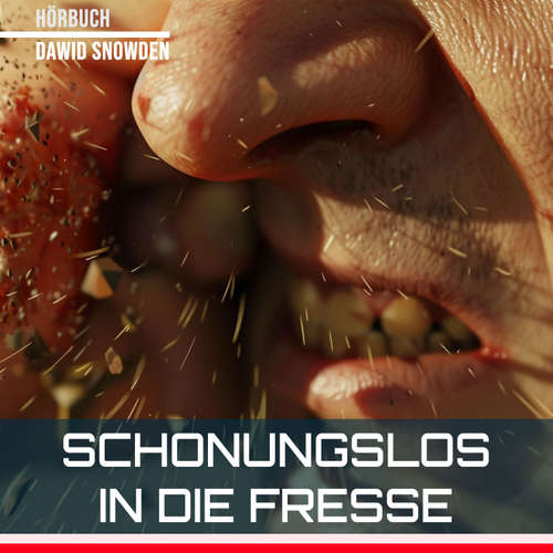 Hoerbuch Schonungslos in die Fresse - Dawid Snowden - Dawid Snowden