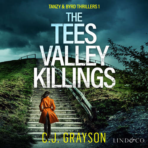 Audiobook The Tees Valley Killings - C.J. Grayson - Mike Rogers