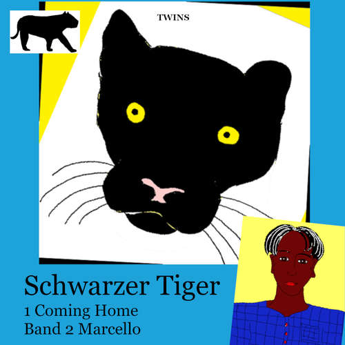 Hoerbuch Schwarzer Tiger 1 Coming Home - TWINS - Heather Johnson