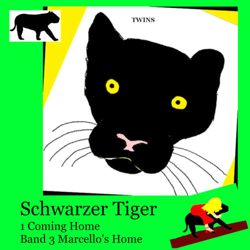 Hoerbuch Schwarzer Tiger 1 Coming Home - TWINS - Heather Johnson