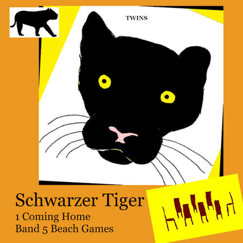 Hoerbuch Schwarzer Tiger 1 Coming Home - TWINS - Heather Johnson