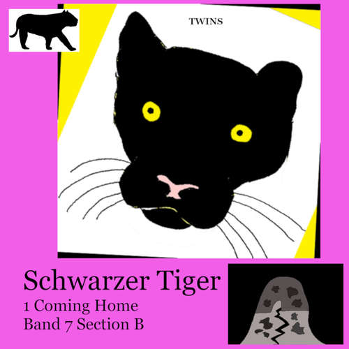 Hoerbuch Schwarzer Tiger 1 Coming Home - TWINS - Heather Johnson