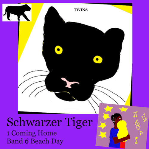 Hoerbuch Schwarzer Tiger 1 Coming Home - TWINS - Heather Johnson