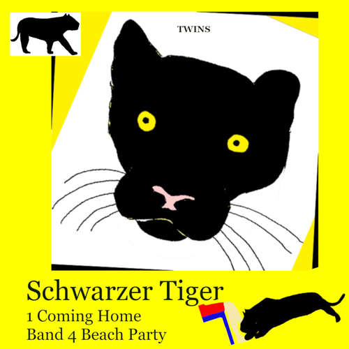 Hoerbuch Schwarzer Tiger 1 Coming Home - TWINS - Heather Johnson