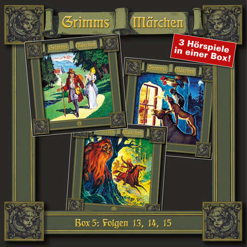 Hoerbuch Grimms Märchen, Box 5: Folgen 13, 14, 15 - Brüder Grimm - Peter Weis
