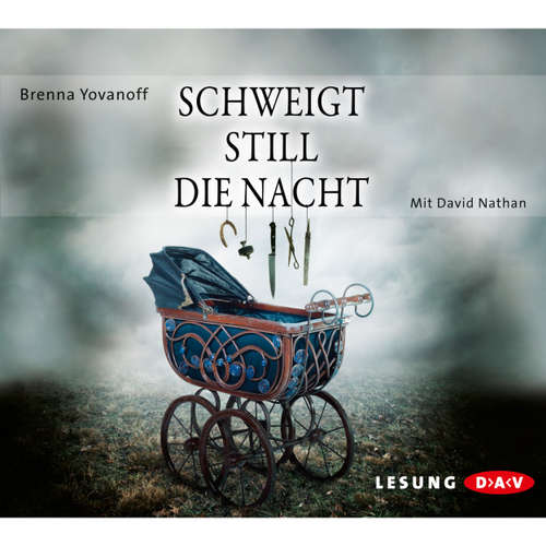 Schweigt still die Nacht