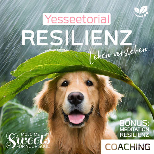 Hoerbuch Resilienz, die 7 Säulen der mentalen Stärke, mit Selbsttest im Hörbuch zur Stärkung deiner inneren Widerstandskraft - Coco Styles - Coco Styles