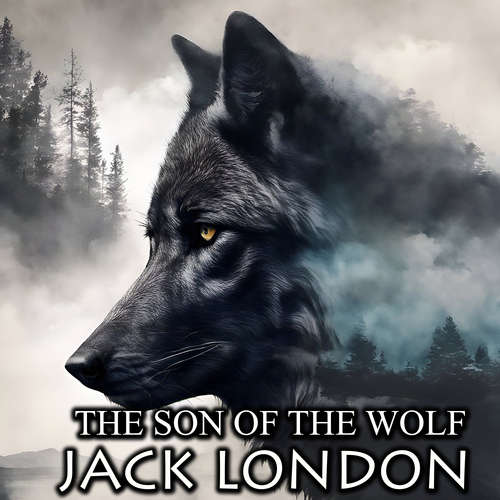 Audiobook The Son of the Wolf - Jack London - Peter Coates