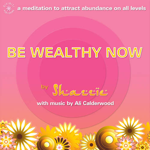 Audiobook Be Wealthy Now - Shazzie Love - Shazzie Love