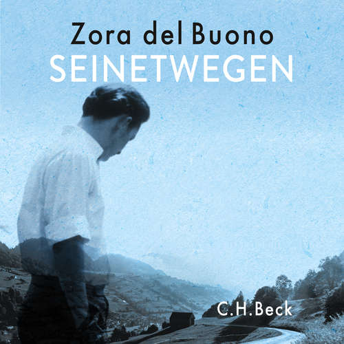 Hoerbuch Seinetwegen - Zora del Buono - Brigitte Trübenbach
