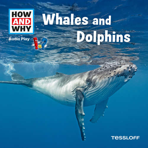 Audiobook Whales And Dolphins - Dr. Manfred Baur - Debby Van Dooren