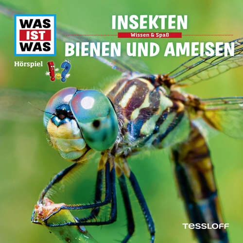 Hoerbuch 37: Insekten / Bienen und Ameisen - Kurt Haderer - Crock Krumbiegel