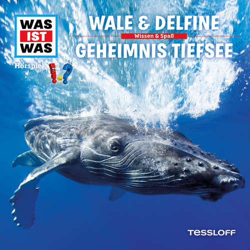 Hoerbuch 13: Wale & Delfine / Geheimnis Tiefsee - Dr. Manfred Baur - Anna Carlsson