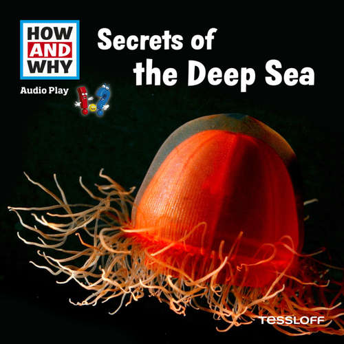 Audiobook Secrets Of The Deep Sea - Dr. Manfred Baur - Debby Van Dooren