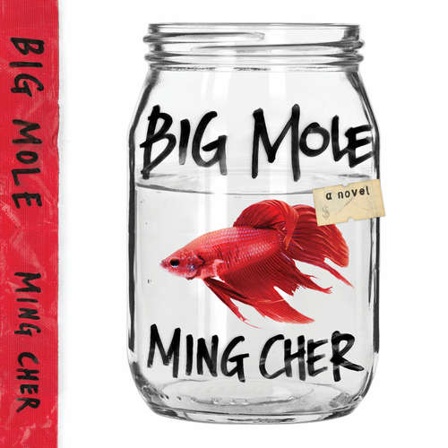 Audiobook Big Mole - Ming Cher - Mathilda D'Silva