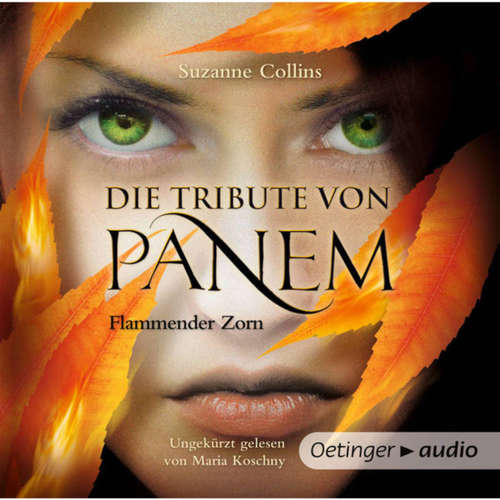Die Tribute von Panem. Flammender Zorn