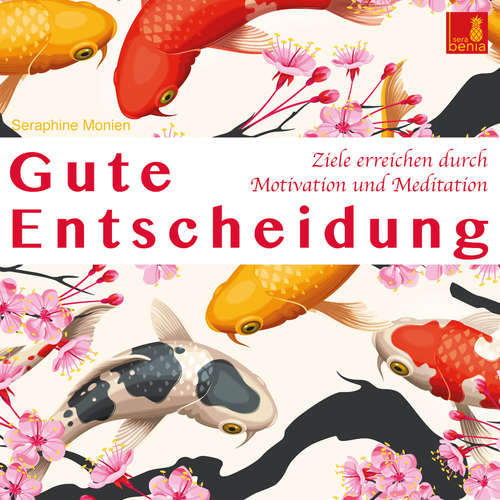 Hoerbuch Gute Entscheidung - Ziele erreichen durch Motivation und Meditation - Seraphine Monien - Seraphine Monien