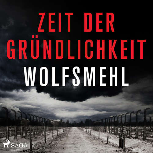 Hoerbuch Zeit der Gründlichkeit - Wolfsmehl - Konrad Halver