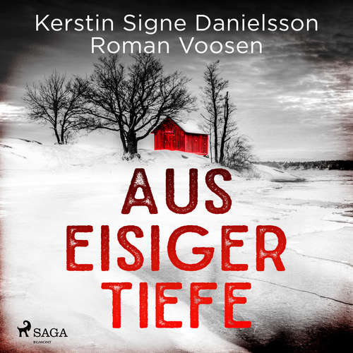 Hoerbuch Aus eisiger Tiefe - Kerstin Signe Danielsson - Samy Andersen