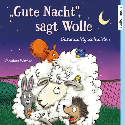 Hoerbuch "Gute Nacht", sagt Wolle - Christine Werner - Stefan Wilkening