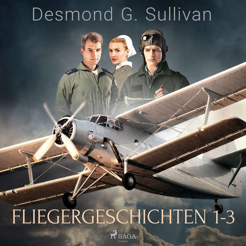 Hoerbuch Fliegergeschichten 1-3 - Desmond G. Sullivan - Robert Frank