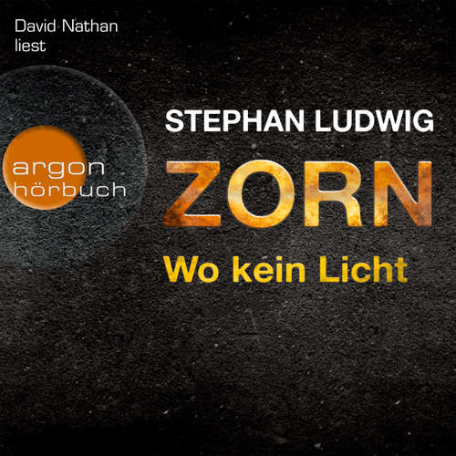Hoerbuch Zorn - Wo kein Licht - Stephan Ludwig - David Nathan