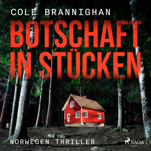 Hoerbuch Botschaft in Stücken: Norwegen-Thriller - Cole Branninghan - Kris Köhler
