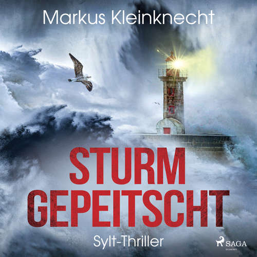 Hoerbuch Sturmgepeitscht: Sylt-Thriller - Markus Kleinknecht - Daniel Reißmann