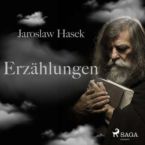 Hoerbuch Erzählungen (Ungekürzt) - Jaroslaw Hasek - Julian Mehne