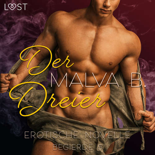 Hoerbuch Begierde 5 - Der Dreier: Erotische Novelle - Malva B - Lara Sommerfeldt