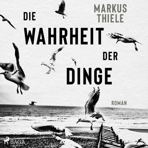 Hoerbuch Die Wahrheit der Dinge - Markus Thiele - Herbert Schäfer