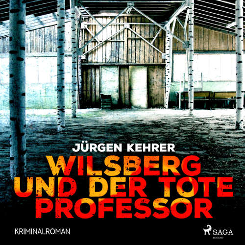 Hoerbuch Wilsberg und der tote Professor - Kriminalroman (Ungekürzt) - Jürgen Kehrer - Rainer Gilljohann