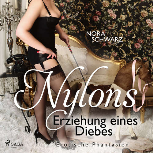 Hoerbuch Nylons: Erziehung eines Diebes - Erotische Phantasien - Nora Schwarz - Claudia Drews